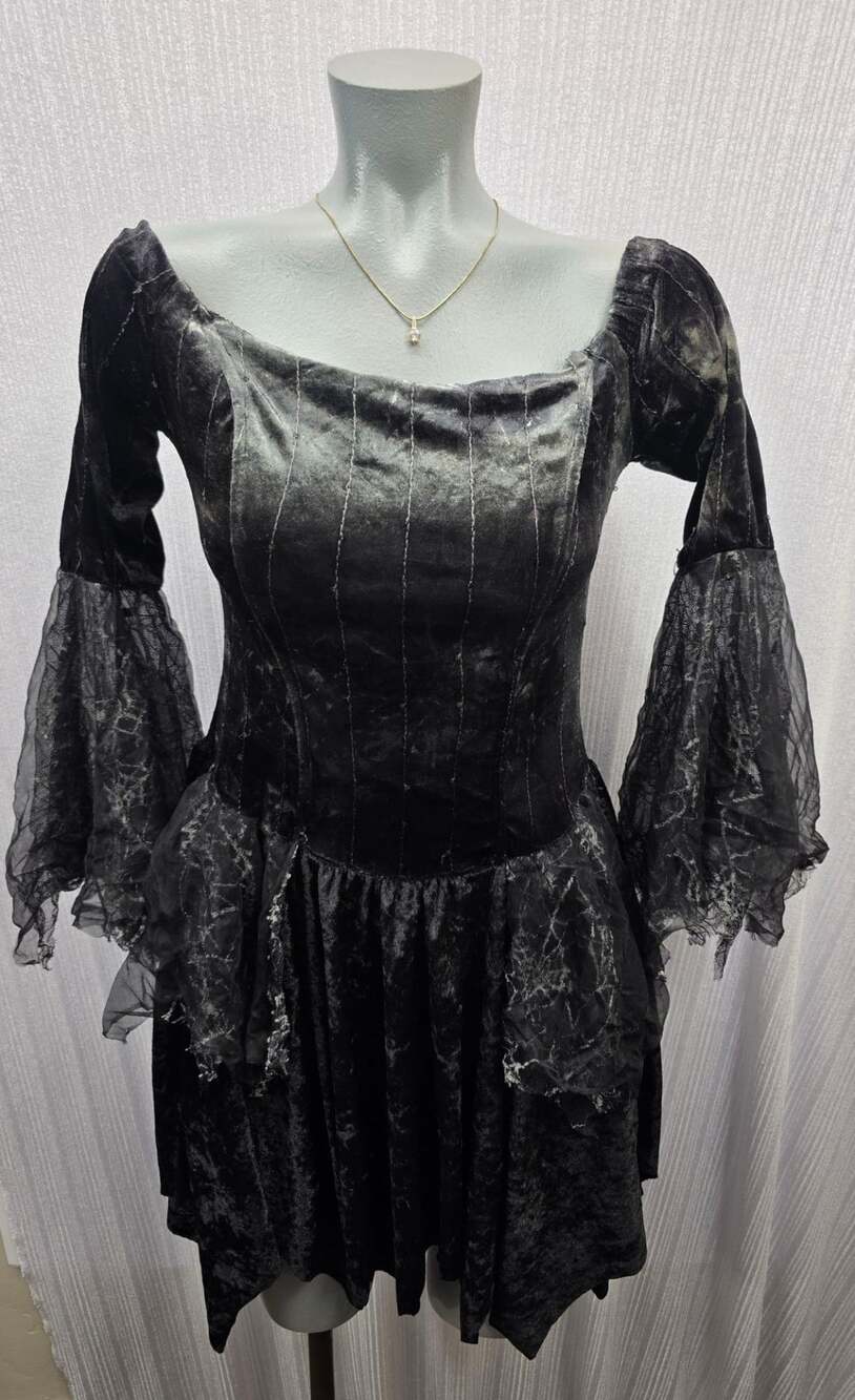 Spider Witch Spider Witch Dress One Size Fits Most Black Velvet Costume